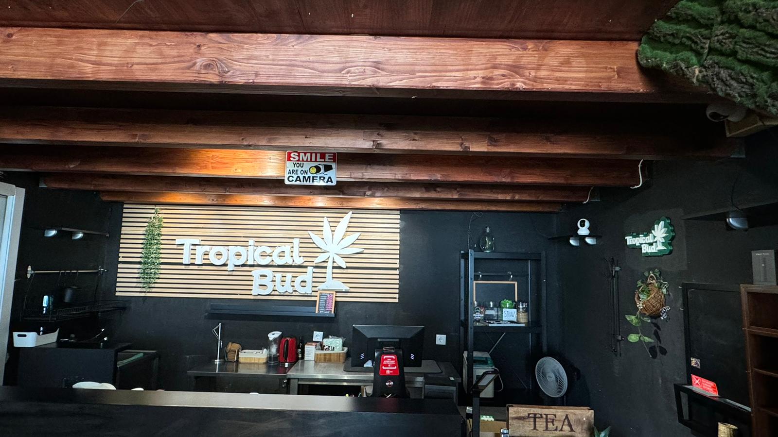 Interior de um espaço Tropical Bud com balcão, teto de madeira, plantas e o logótipo da marca na parede.
