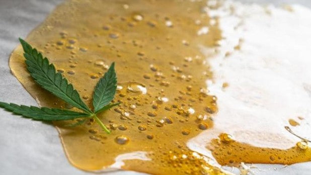 Extratos de CBD concentrados com textura cristalina e resinosas, derivados de cânhamo industrial certificado.