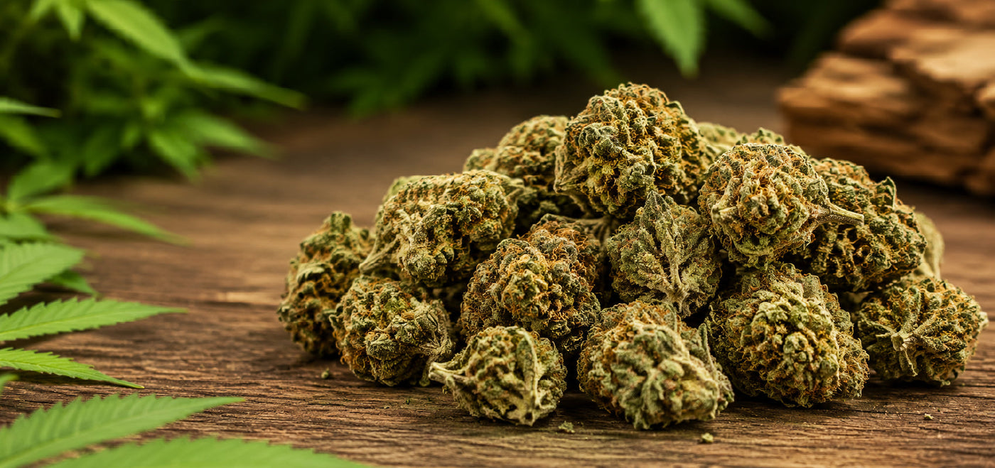 Flores e hash de cânhamo industrial com CBD, HPC e H3CBN apresentados em formato premium.