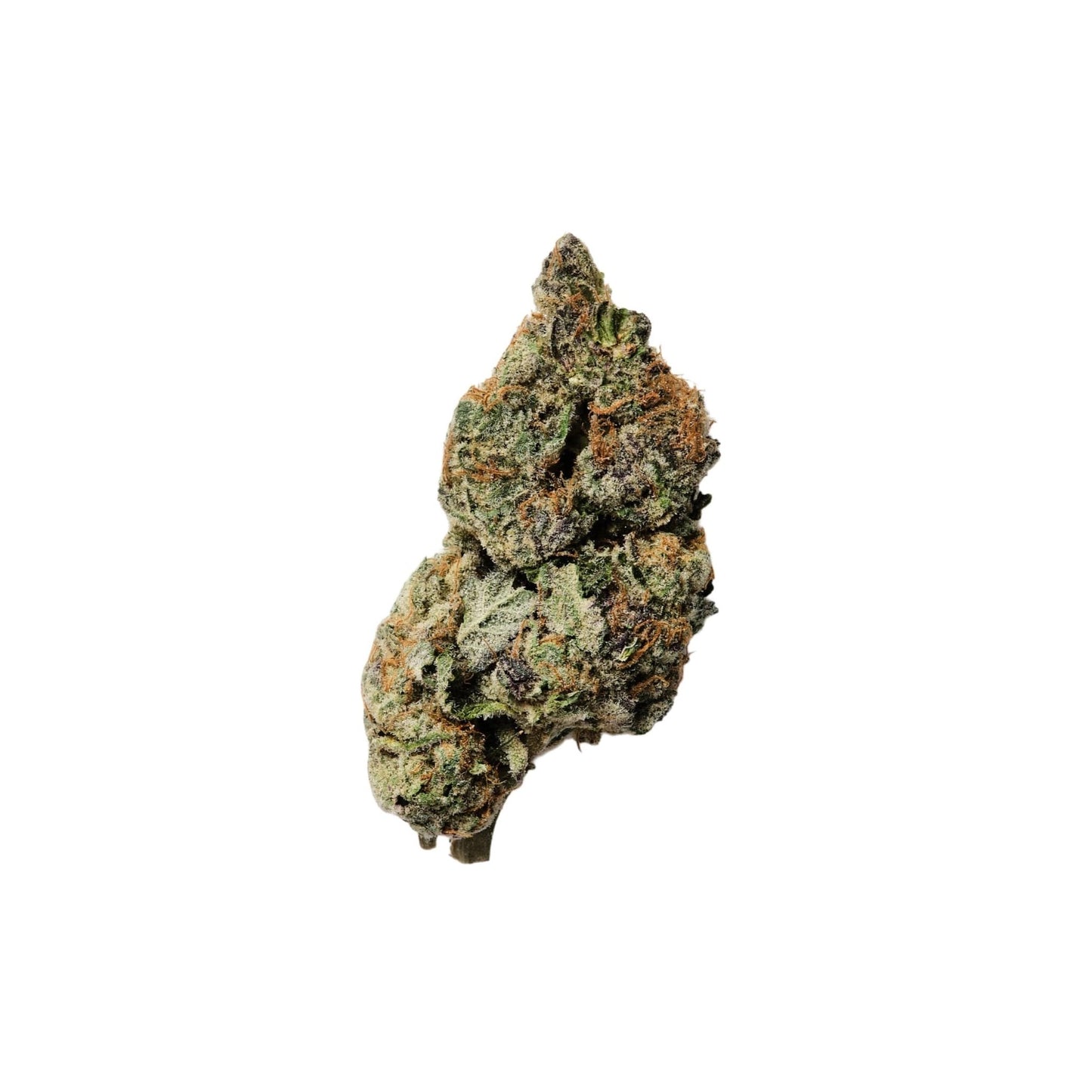 Flor de cânhamo **Jet Fuel HPC 50%** em destaque sobre fundo neutro, apresentando tonalidades verdes e alaranjadas com tricomas visíveis. Produto premium, cultivado de forma orgânica, com aroma intenso e energético. Ideal para quem procura bem-estar, foco e relaxamento sem efeitos psicoativos, contendo menos de 0.2% de THC.