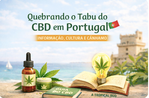 Ilustração sobre o tabu do CBD em Portugal, com livro aberto, frasco, folha de cânhamo, lâmpada e torre junto ao rio.