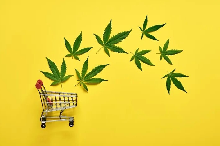 Produtos de CBD Premium – Bem-estar Natural com Qualidade Garantida