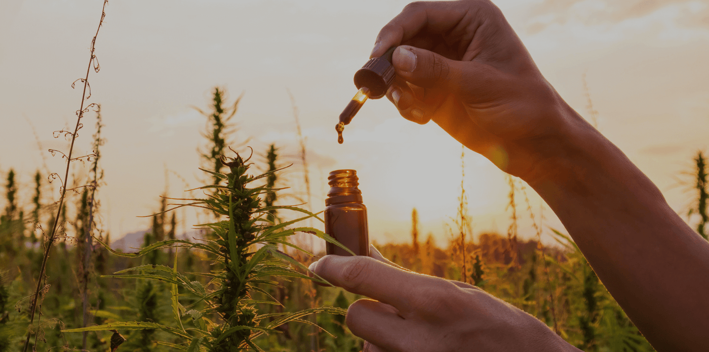 Óleos de CBD Tropical Bud com diferentes concentrações e aromas, derivados de cânhamo industrial certificado (<0,2% THC).