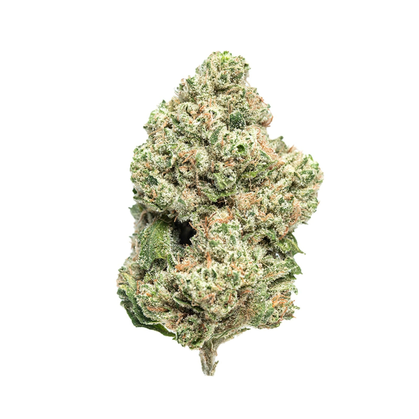 Flores de CBD Indoor densas e resinosas cultivadas em ambiente controlado com elevado teor de canabidiol.