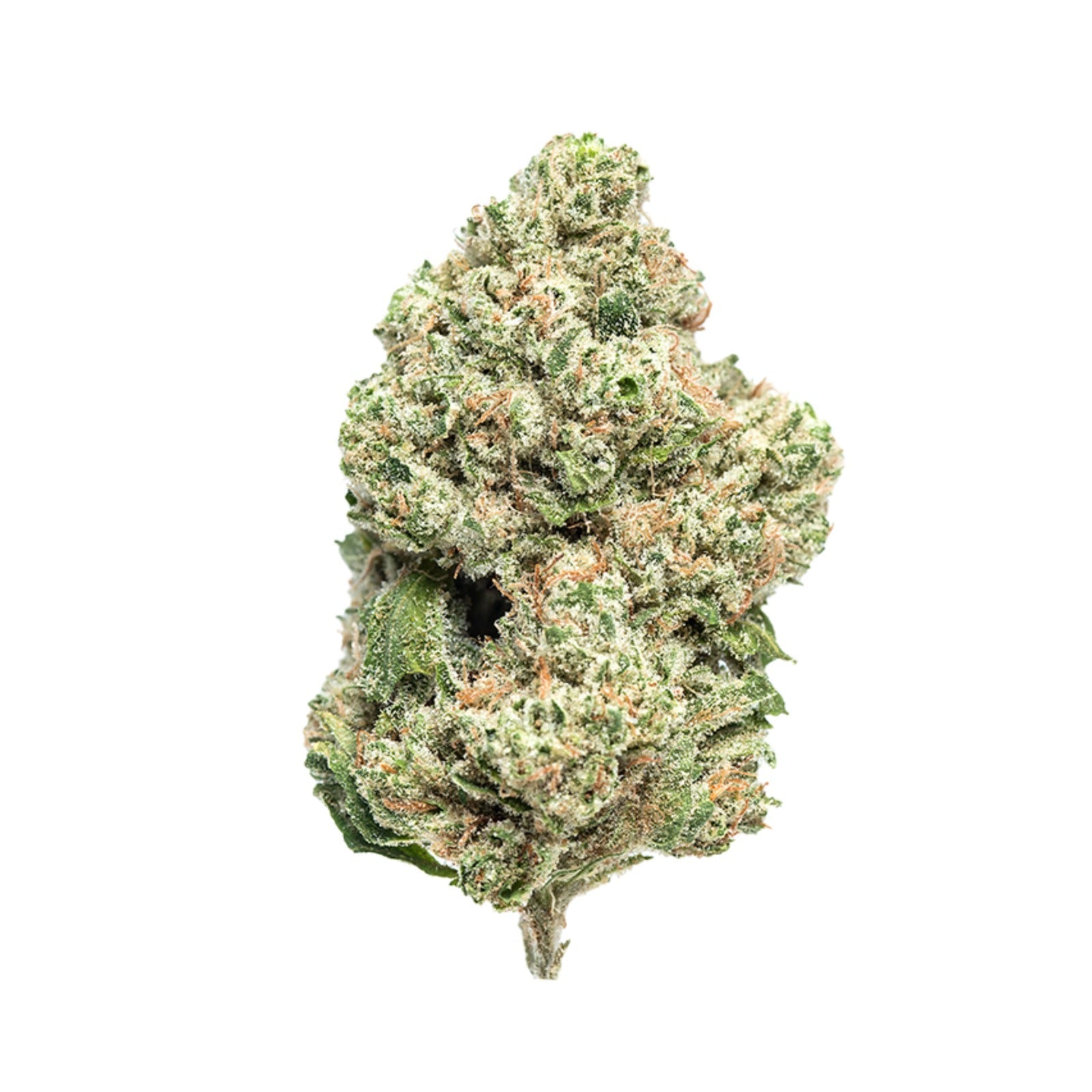 Flores de CBD Indoor densas e resinosas cultivadas em ambiente controlado com elevado teor de canabidiol.