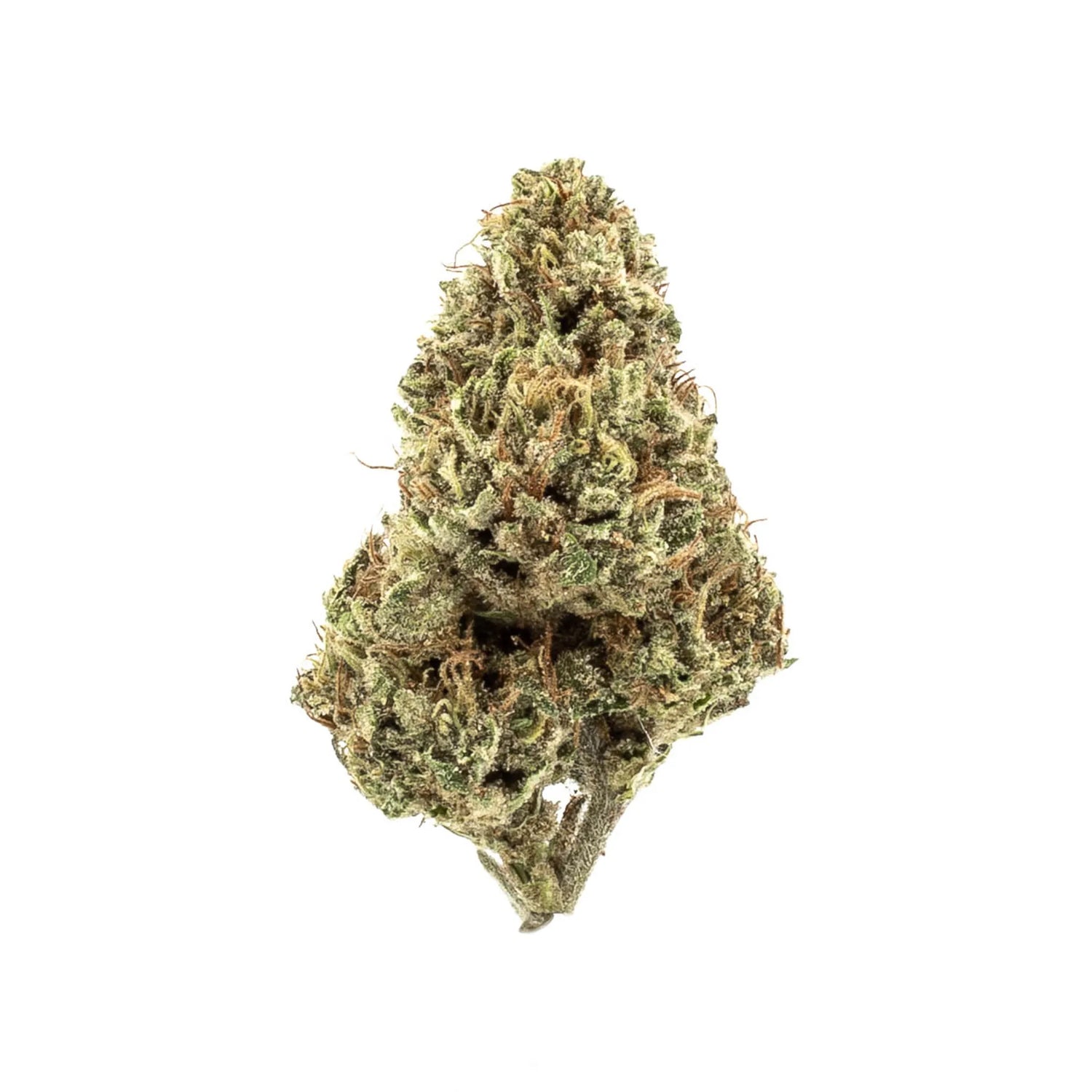 Flores de cânhamo premium infundidas com H3CBN, com aroma intenso e aspeto natural.