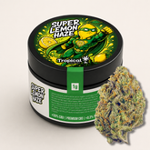 Super Lemon Haze CBD Indoor