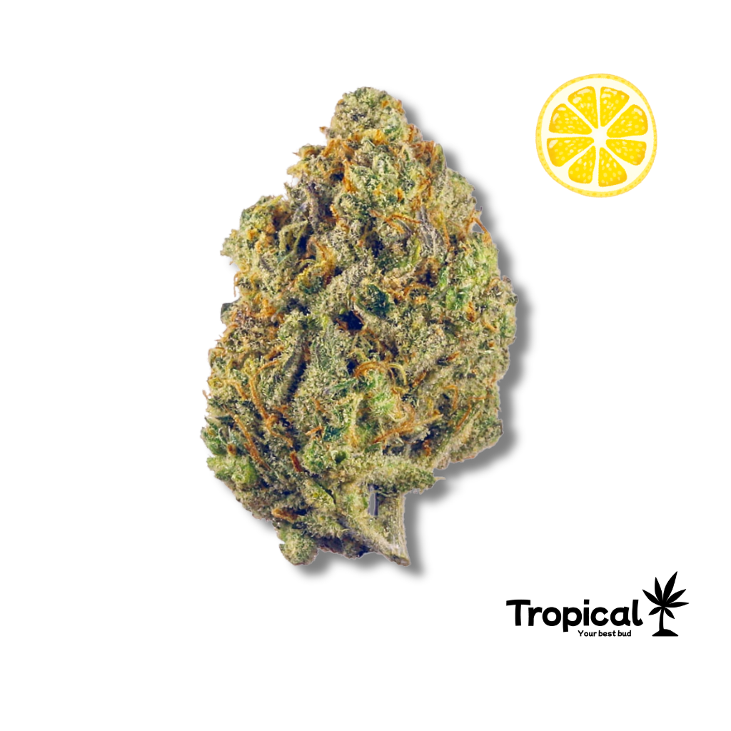 Super Lemon Haze CBD Indoor
