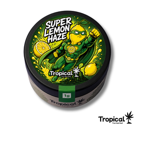Super Lemon Haze CBD Indoor