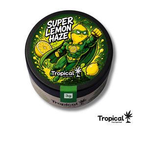 Super Lemon Haze CBD Indoor