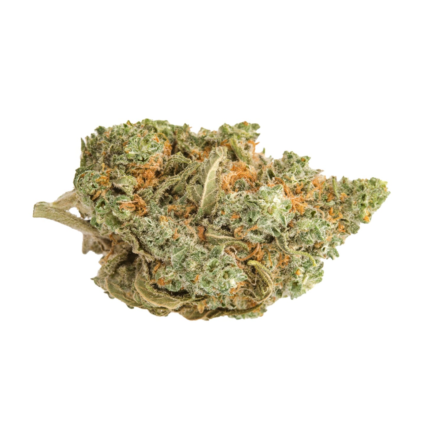 Amnesia CBD Indoor Premium | Tropical Bud Flores de cânhamo cultivadas indoor, aroma cítrico e herbal