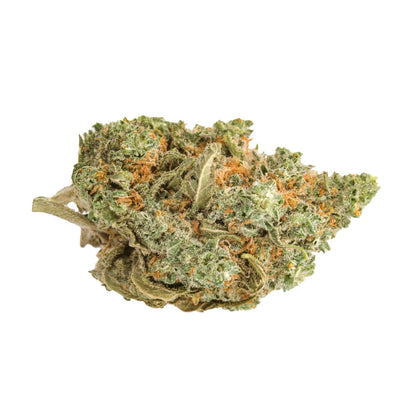 Amnesia CBD Indoor Premium | Tropical Bud Flores de cânhamo cultivadas indoor, aroma cítrico e herbal