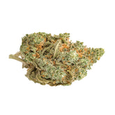 Amnesia CBD Indoor Premium | Tropical Bud Flores de cânhamo cultivadas indoor, aroma cítrico e herbal