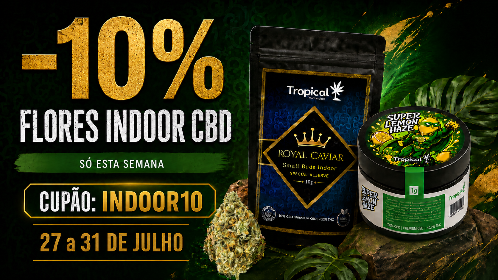Destaque Tropical Bud