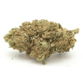 Casca Flores CBD Premium 3G – Edição limitada com Regula. Flores de cânhamo premium com alto teor de CBD e perfil aromático intenso, para uma experiência única e autêntica.