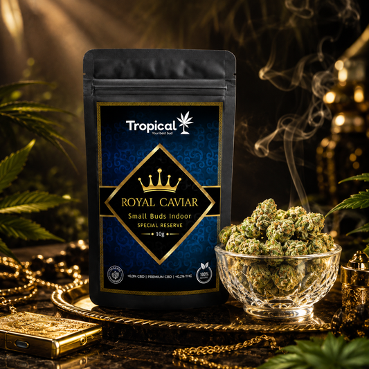 Royal Caviar CBD Indoor Premium – Small Buds 10g | Elegância e Qualidade em Cada Grama