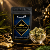 Royal Caviar CBD Indoor Premium – Small Buds 10g | Elegância e Qualidade em Cada Grama