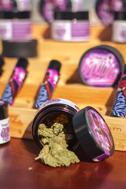 Apresentação do pack Apollo G x Tropical Bud com três itens de coleção