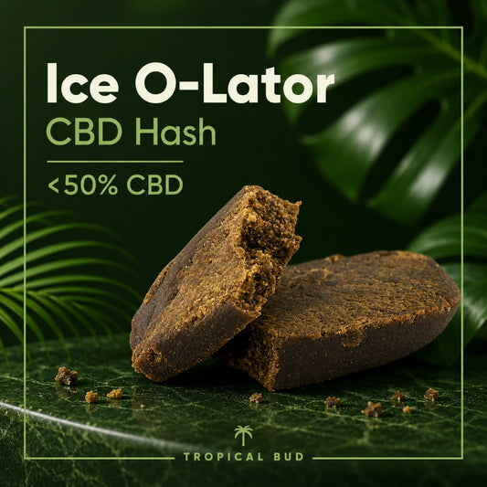 Ice O-Lator CBD – 2G