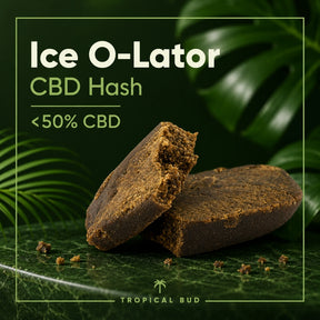 Ice O-Lator CBD – 2G