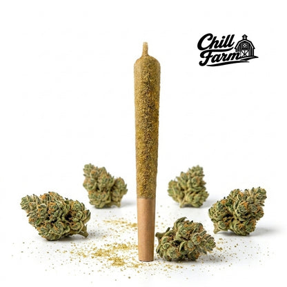 Pre-rolled de Infusão HPC + Extrato CBD Live Resin (London Pound Cake) Chill Farm®