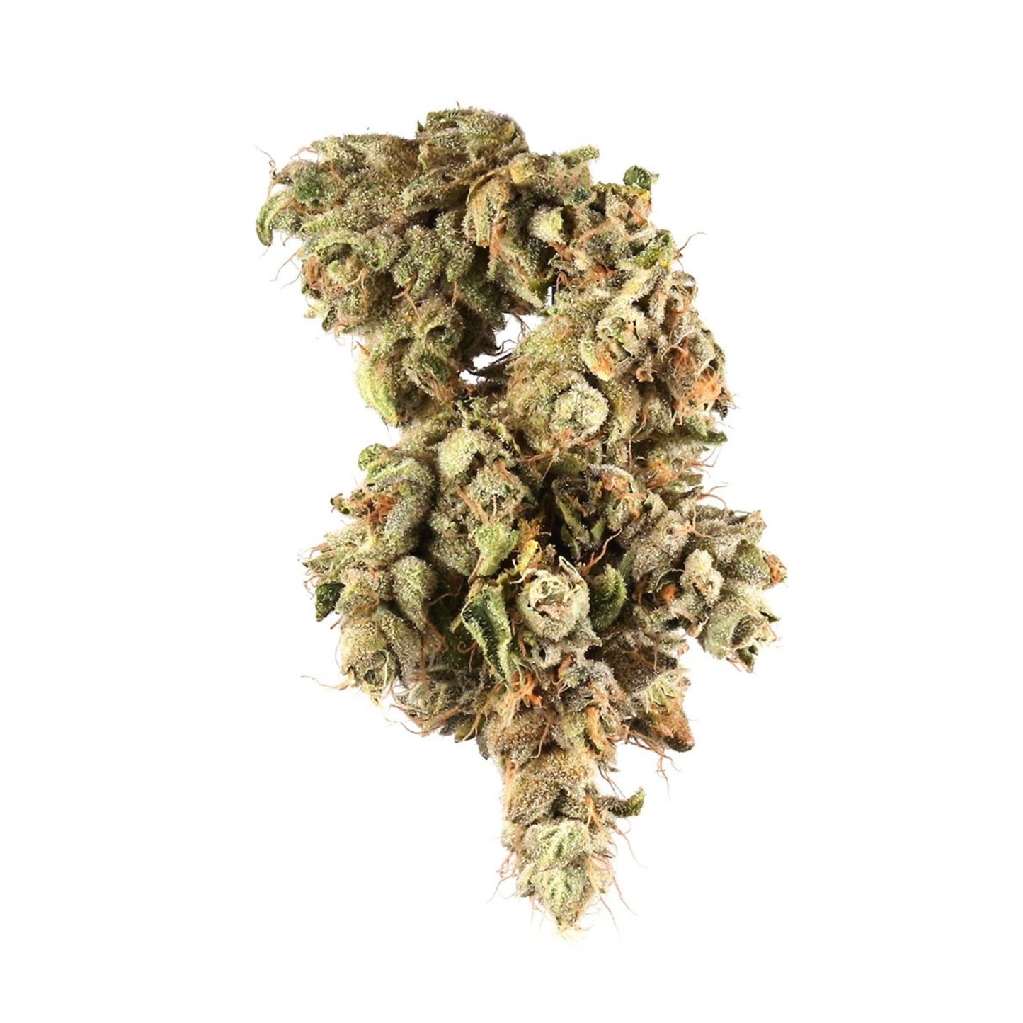 Jungle Cake CBD Greenhouse Premium  de cânhamo industrial, cultivo controlado e <0,2% THC.