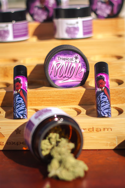Kit Apollo G x Tropical Bud com flor de CBD, grinder e clipper exclusivos

