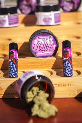 Kit Apollo G x Tropical Bud com flor de CBD, grinder e clipper exclusivos

