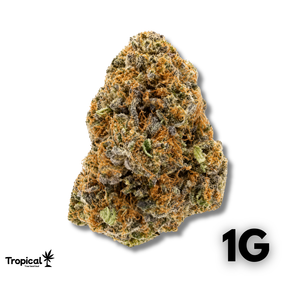 London Pound Cake CBD Greenhouse