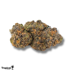 London Pound Cake CBD Greenhouse