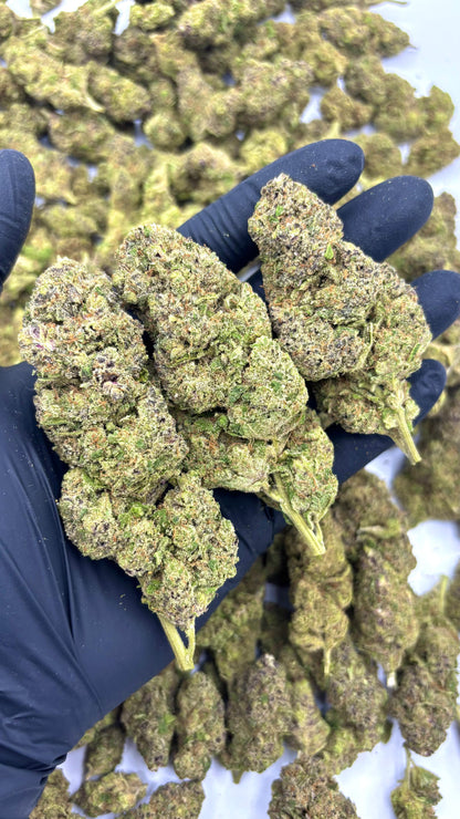 Medellin - Flor de CBD Indoor Premium