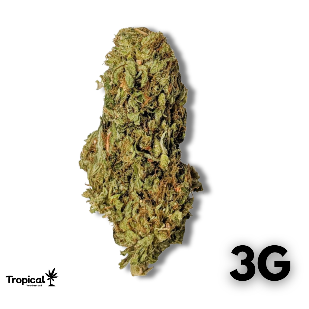 OG Kush CBD Greenhouse