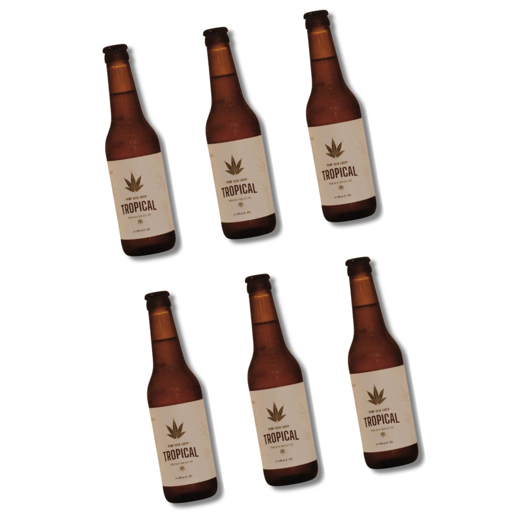 Pack 6 Cerveja de cânhamo artesanal