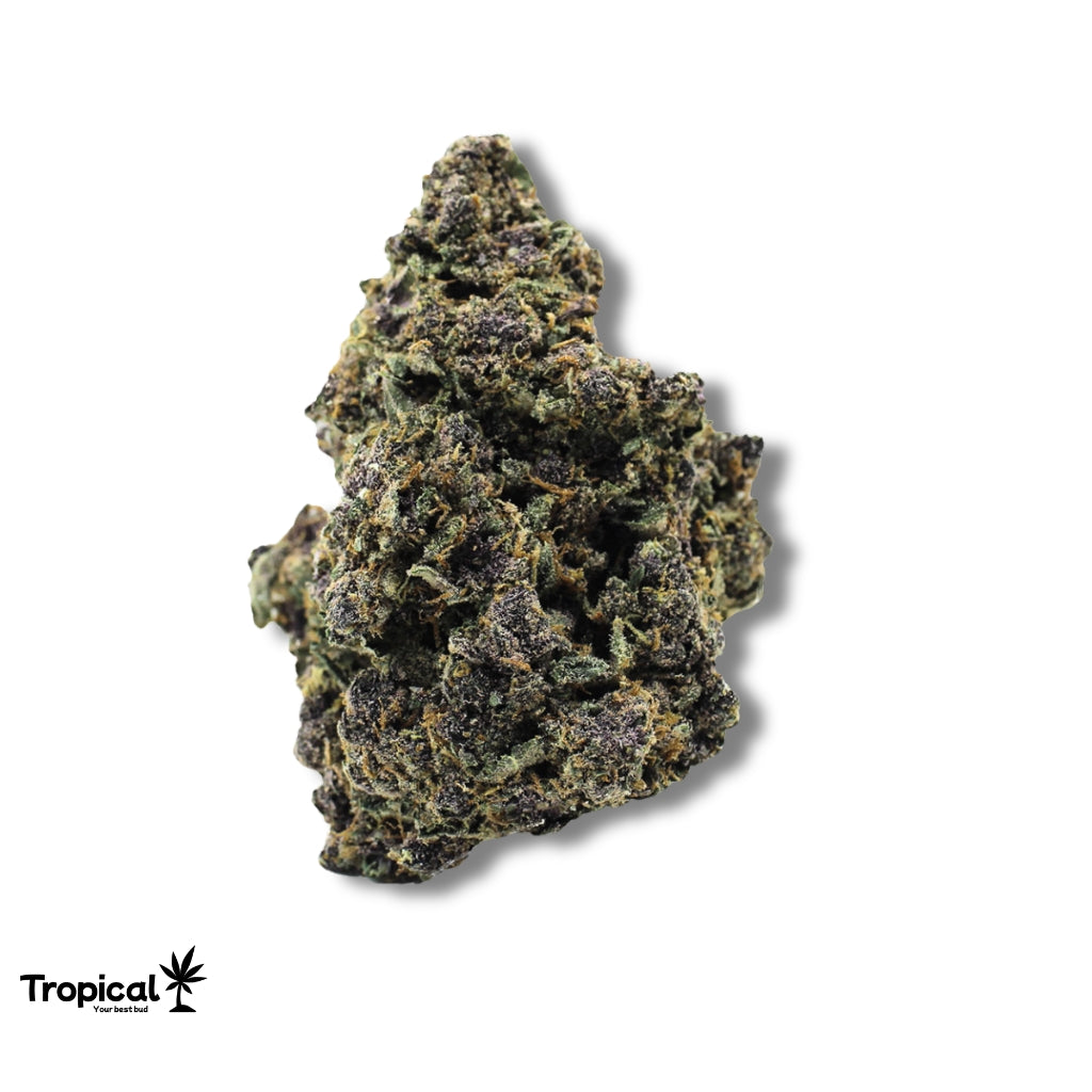 Purple Lemon Haze CBD Greenhouse