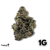 Purple Lemon Haze CBD Greenhouse
