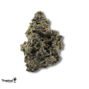 Purple Lemon Haze CBD Greenhouse