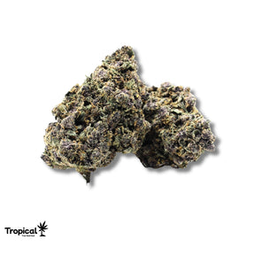Purple Lemon Haze CBD Greenhouse