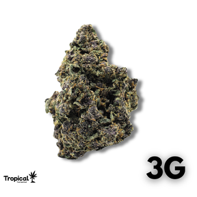 Purple Lemon Haze CBD Greenhouse