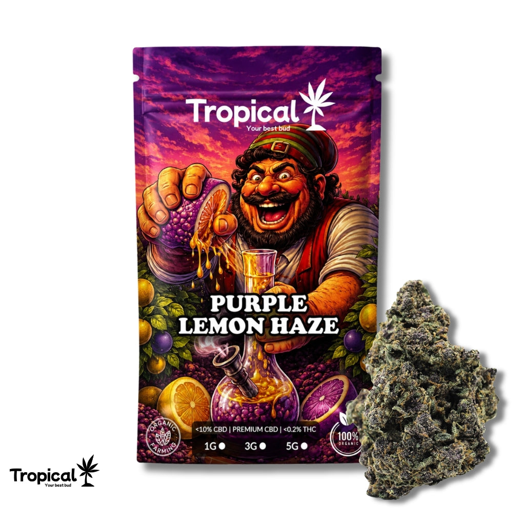 Purple Lemon Haze CBD Greenhouse