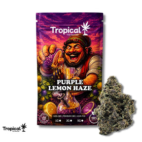 Purple Lemon Haze CBD Greenhouse