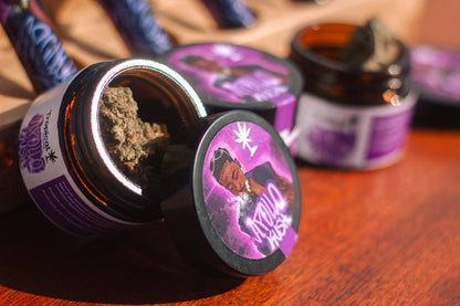 Pote de vidro Apollo Kush CBD Premium Indoor – Edição Especial Apollo G x Tropical Bud