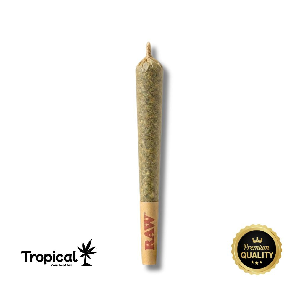 Pré-roll de CBD Premium Tropical Bud®