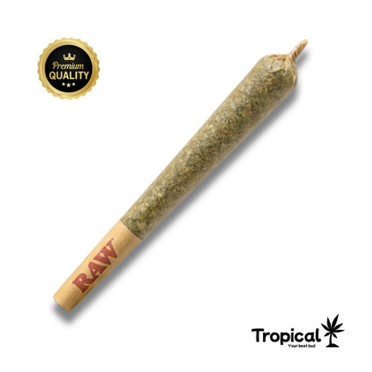 Pré-roll de CBD Premium Tropical Bud®