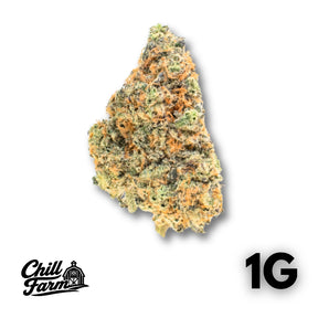 Stickky Queen H3 Chill Farm®
