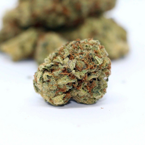 Sunset CBD Greenhouse Premium 1 – Flores de cânhamo com aroma suave e frutado.