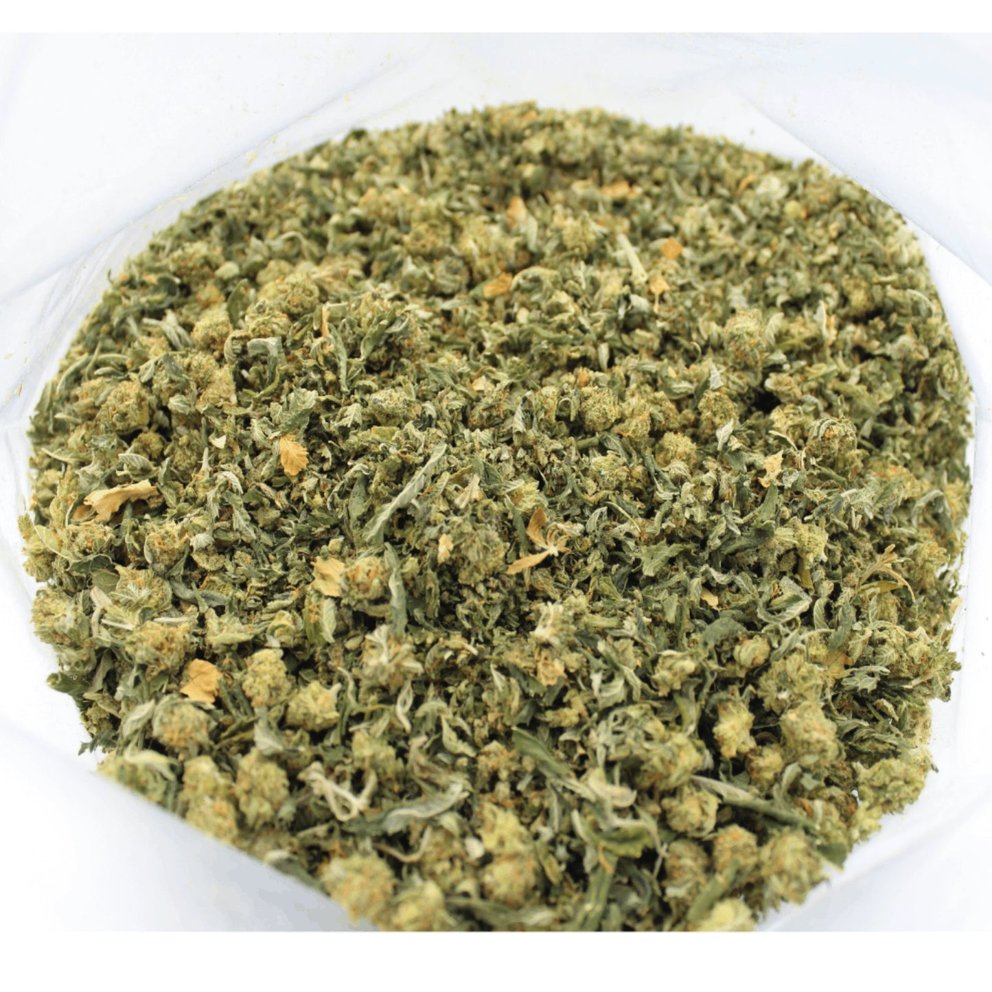Flor de cânhamo Supreme Crunch CBD Indoor de alta qualidade, com aroma intenso e rica em CBD.