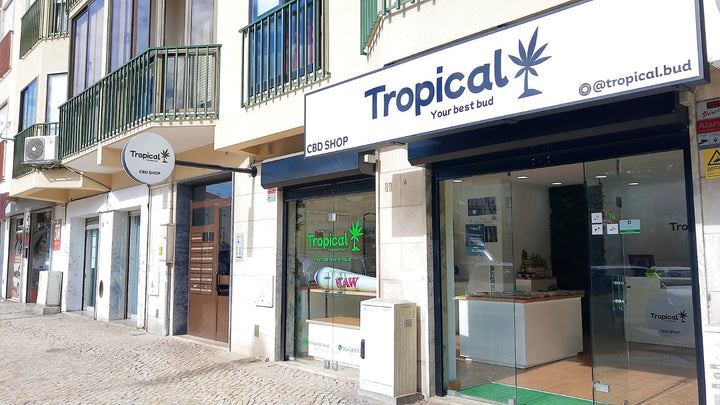 Tropical Bud - Seixal