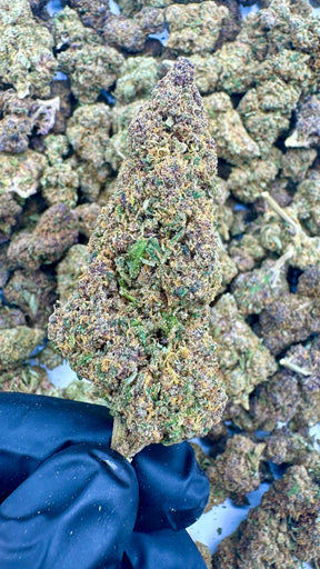 Purple Yuzu CBD Indoor Premium