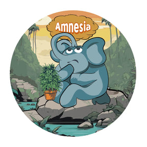 Amnesia CBD Indoor Premium | Tropical Bud
