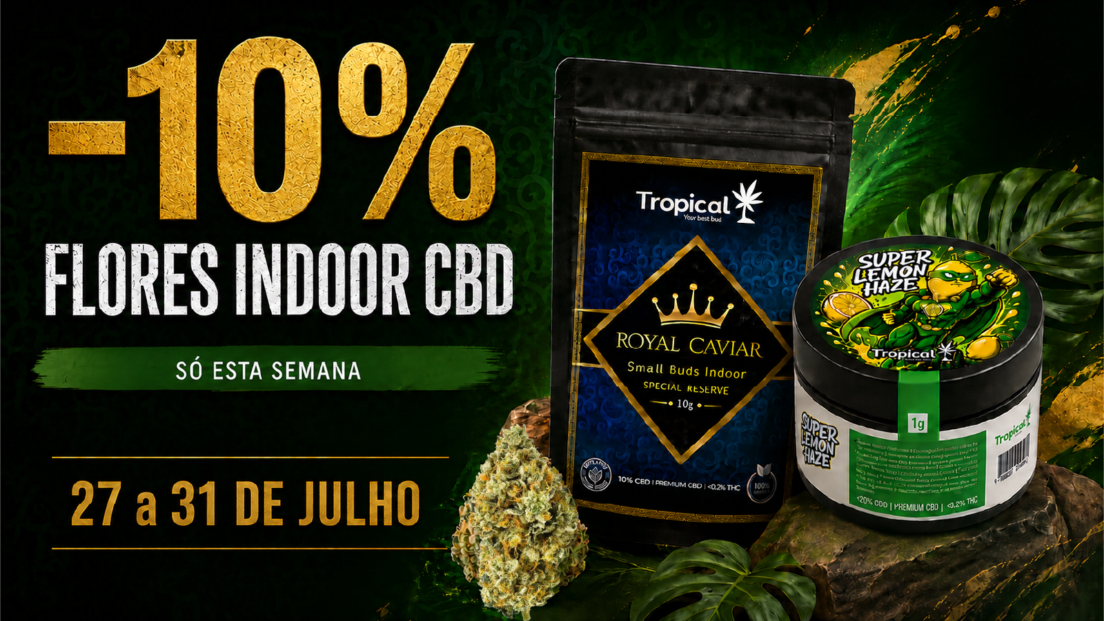 Destaque Tropical Bud